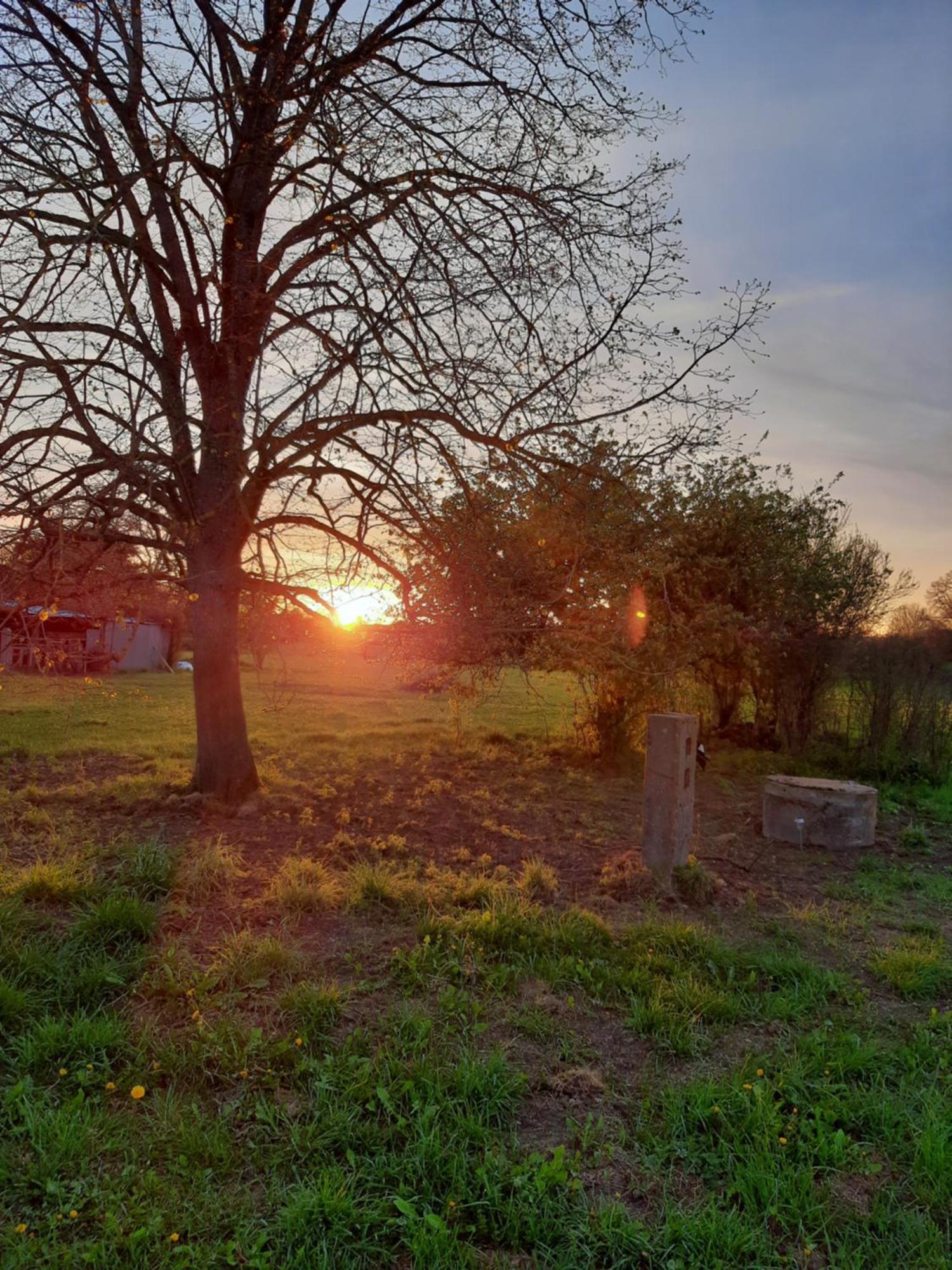 Notre Village Papillon Bed&Breakfast Neret Zimmer foto